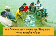 মৎস উৎপাদনে ক্রমশ স্বনির্ভর হয়ে উঠছে বাংলা - কমছে আমদানির পরিমাণ