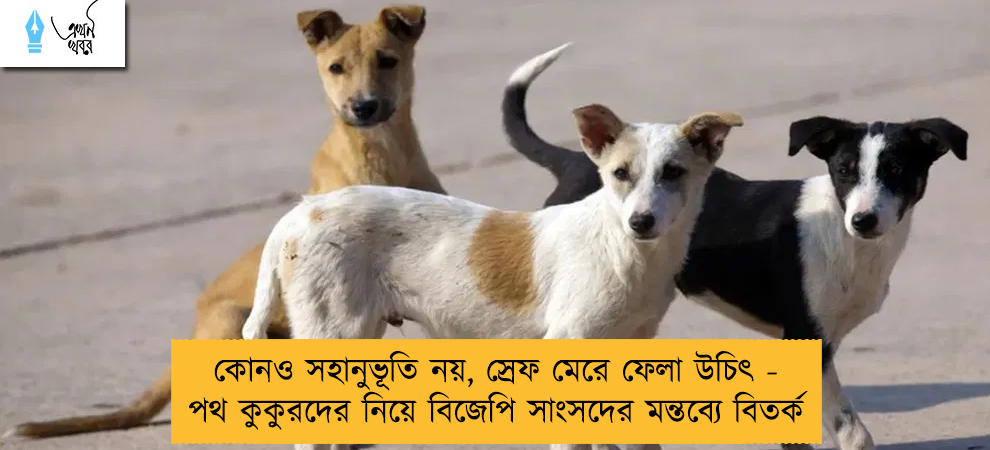 কোনও সহানুভূতি নয়, স্রেফ মেরে ফেলা উচিৎ - পথ কুকুরদের নিয়ে বিজেপি সাংসদের মন্তব্যে বিতর্ক