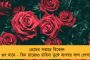 রাজ্যাভিষেকের আগে নতুন করে বিতর্ক চান না - মুকুট থেকে কোহিনূর সরানোর নির্দেশ রানি ক্যামিলার