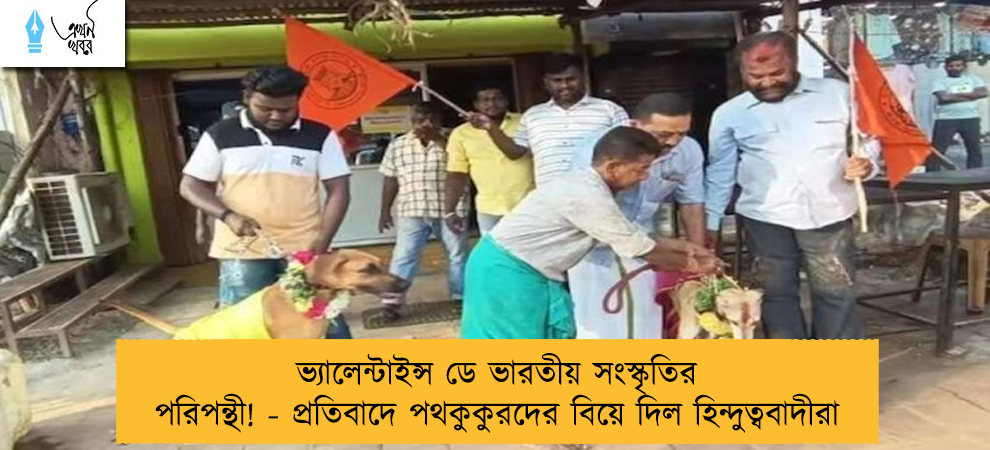 ভ্যালেন্টাইন্স ডে ভারতীয় সংস্কৃতির পরিপন্থী! - প্রতিবাদে পথকুকুরদের বিয়ে দিল হিন্দুত্ববাদীরা