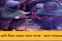 দেশের সংস্কৃতিমহলে শোকের আবহ - প্রয়াত পদ্মভূষণ পুরস্কারপ্রাপ্ত প্রবীণ সঙ্গীতশিল্পী বাণী জয়রাম