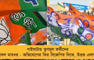 গাইঘাটায় তৃণমূল কর্মীদের প্রবল মারধর - অভিযোগের তির বিজেপির দিকে, উত্তপ্ত এলাকা