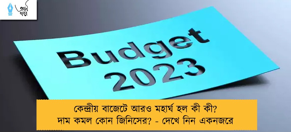 কেন্দ্রীয় বাজেটে আরও মহার্ঘ হল কী কী? দাম কমল কোন জিনিসের? - দেখে নিন একনজরে
