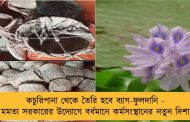 কচুরিপানা থেকে তৈরি হবে ব্যাগ-ফুলদানি - মমতা সরকারের উদ্যোগে বর্ধমানে কর্মসংস্থানের নতুন দিশা