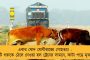 তুরস্ক-অসমের পরে এবার কেঁপে উঠল সিকিম - রিখটার স্কেলে ভূমিকম্পে মাত্রা ছিল ৪.৩