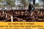 অযোধ্যা মামলার বিচারপতিকে অন্ধপ্রদেশের রাজ্যপাল হিসেবে নিয়োগ কেন্দ্রের! - বিরোধীদের নিশানায় মোদী সরকার