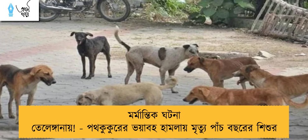 মর্মান্তিক ঘটনা তেলেঙ্গানায়! - পথকুকুরের ভয়াবহ হামলায় মৃত্যু পাঁচ বছরের শিশুর