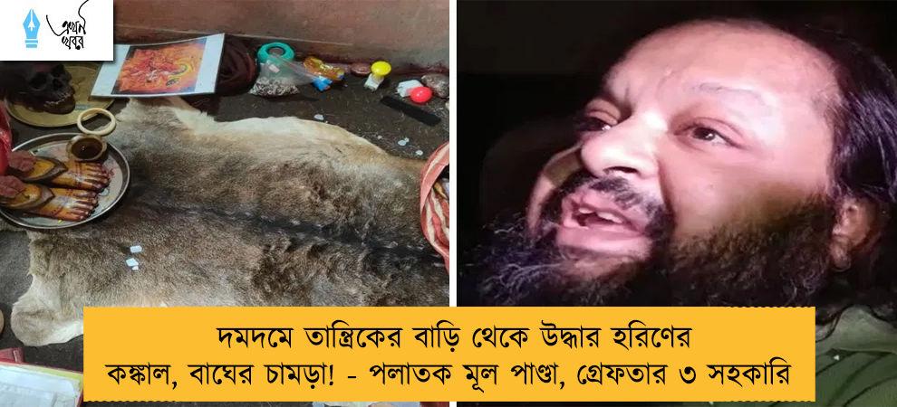 দমদমে তান্ত্রিকের বাড়ি থেকে উদ্ধার হরিণের কঙ্কাল, বাঘের চামড়া! - পলাতক মূল পাণ্ডা, গ্রেফতার ৩ সহকারি