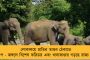 মহিলাদের জাতীয় ফুটবল প্রতিযোগিতা - অরুণাচলকে ৩-০ গোলে হারিয়ে অভিযান শুরু বাংলার