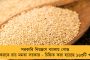 ভাঙড় নিয়ে কড়া তৃণমূল – আরাবুলদের ডেকে দলীয় নির্দেশ পুঙ্খানুপুঙ্খভাবে মেনে চলার বার্তা সুব্রত বক্সির