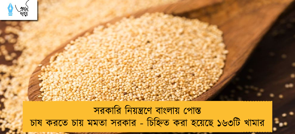 সরকারি নিয়ন্ত্রণে বাংলায় পোস্ত চাষ করতে চায় মমতা সরকার - চিহ্নিত করা হয়েছে ১৬৩টি খামার