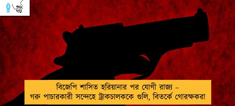 বিজেপি শাসিত হরিয়ানার পর যোগী রাজ্য – গরু পাচারকারী সন্দেহে ট্রাকচালককে গুলি, বিতর্কে গোরক্ষকরা