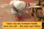 রোগীর খাদ্যনালীতে আটকে ছিল দুটি ১০০ টাকার নোট! - এন্ড্রোস্কপিক পদ্ধতিতে বার করলেন আরজি কর হাসপাতালের চিকিৎসকরা