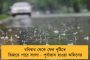 কোন কোন ক্ষেত্রে প্যান-আধার সংযোগ না করলেও হবে? - জেনে নেওয়া যাক