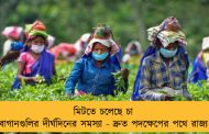 মিটতে চলেছে চা বাগানগুলির দীর্ঘদিনের সমস্যা - দ্রুত পদক্ষেপের পথে রাজ্য