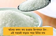 আঁখের ফলন কম হওয়ায় উৎপাদনে টান - এই গরমেই বাড়তে পারে চিনির দাম