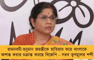 রামনবমী-হনুমান জয়ন্তীকে হাতিয়ার করে বাংলাকে অশান্ত করার চক্রান্ত করছে বিজেপি - সরব তৃণমূলের শশী