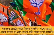 পঞ্চায়েত ভোটের আগে শিকেয় সংগঠন - দলের ৪৪তম প্রতিষ্ঠা দিবসে দেওয়াল লেখার কর্মী পাচ্ছে না বঙ্গ বিজেপি!