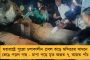 চাই না, কোনও ভুয়ো ডিগ্রিধারী ভারতের প্রধানমন্ত্রী হোক – নাম না করে দের মোদীকে নিশানা কেজরির