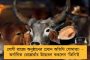বিগত ২০ বছরে সবচেয়ে বেশি ঘাটতি চালের – বাড়তে পারে দাম, পকেটে চাপ বাড়বে মধ্যবিত্তের