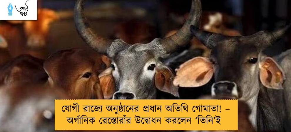 যোগী রাজ্যে অনুষ্ঠানের প্রধান অতিথি গোমাতা! – অর্গানিক রেস্তোরাঁর উদ্বোধন করলেন ‘তিনি’ই