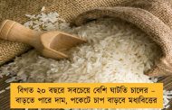 বিগত ২০ বছরে সবচেয়ে বেশি ঘাটতি চালের – বাড়তে পারে দাম, পকেটে চাপ বাড়বে মধ্যবিত্তের