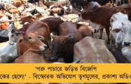 'গরু পাচারে জড়িত বিজেপি বিধায়কের ছেলে!' - বিস্ফোরক অভিযোগ তৃণমূলের, প্রকাশ্য অডিও ক্লিপ