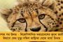 সুপ্রিম কোর্টের রায়ে স্বস্তি - নোটিশ জারি করে নিয়োগ পত্র বাতিলের কাজ স্থগিত রাখল পর্ষদ