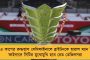 আগেই পাশে দাঁড়িয়েছিলেন মুখ্যমন্ত্রী - এবার অমর্ত্য সেনের অপমানে মোদীকে খোলা চিঠি বাংলার ১২০ বিশিষ্টজনের