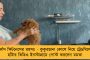 কার গাড়ি কে চালান, তথ্য রাখা থাকবে অনলাইনে - নয়া পদক্ষেপ রাজ্য সরকারের