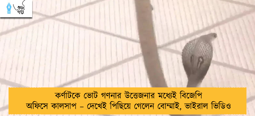 কর্ণাটকে ভোট গণনার উত্তেজনার মধ্যেই বিজেপি অফিসে কালসাপ – দেখেই পিছিয়ে গেলেন বোম্মাই, ভাইরাল ভিডিও