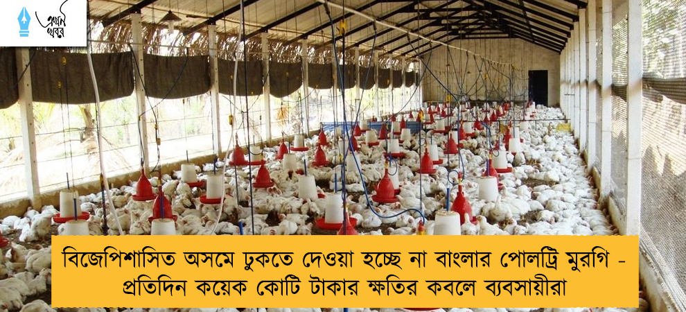 বিজেপিশাসিত অসমে ঢুকতে দেওয়া হচ্ছে না বাংলার পোলট্রি মুরগি - প্রতিদিন কয়েক কোটি টাকার ক্ষতির কবলে ব্যবসায়ীরা
