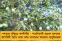 কর্ণাটকে বিজেপি হারলে এগোতে পারে লোকসভা ভোট – জোর জল্পনা, মন্ত্রিসভাতেও রদবদলের সম্ভাবনা