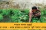 হাইকোর্টের নির্দেশকে চ্যালেঞ্জ করে সুপ্রিম কোর্টে অভিষেক – নিজামে যাবার আগে জানিয়ে দিলেন সিবিআইকে