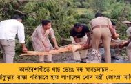কালবৈশাখীতে গাছ ভেঙে বন্ধ যানচলাচল - বাঁকুড়ায় রাস্তা পরিষ্কারে হাত লাগালেন খোদ মন্ত্রী জোৎস্না মান্ডি