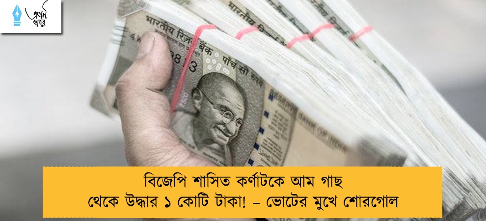 বিজেপি শাসিত কর্ণাটকে আম গাছ থেকে উদ্ধার ১ কোটি টাকা! – ভোটের মুখে শোরগোল