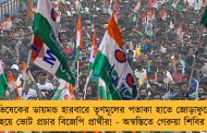 অভিষেকের ডায়মন্ড হারবারে তৃণমূলের পতাকা হাতে জোড়াফুলের হয়ে ভোট প্রচার বিজেপি প্রার্থীর! - অস্বস্তিতে গেরুয়া শিবির