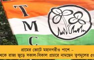 গ্রামের ভোটে মহানগরীও পাশে – আজ থেকে রাজ্য জুড়ে সকাল-বিকাল প্রচারে নামছেন তৃণমূলের ৫৮ নেতা