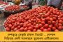 প্রতিদিন বল করছেন ৭ ওভার করে - চোট সারিয়ে বাইশ গজে ফিরতে মরিয়া বুমরা