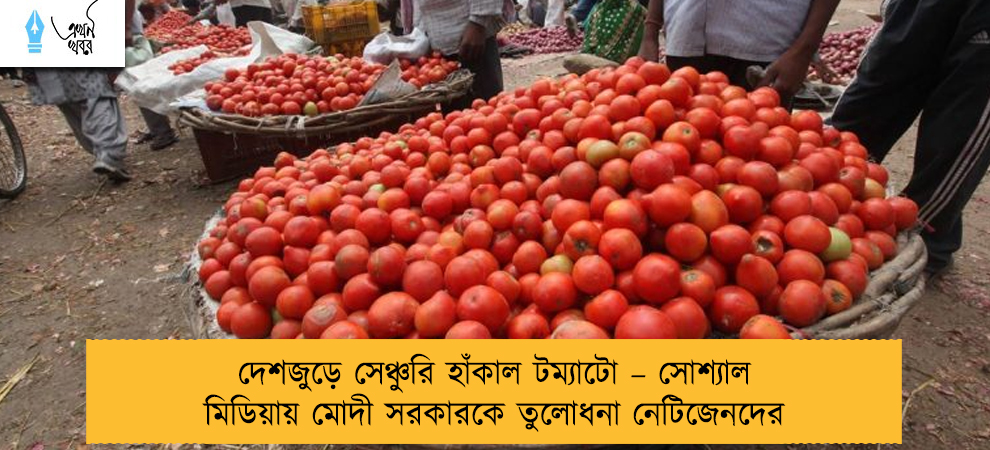 দেশজুড়ে সেঞ্চুরি হাঁকাল টম্যাটো – সোশ্যাল মিডিয়ায় মোদী সরকারকে তুলোধনা নেটিজেনদের