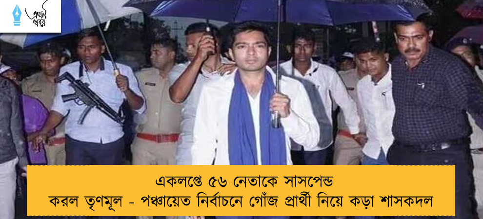 একলপ্তে ৫৬ নেতাকে সাসপেন্ড করল তৃণমূল - পঞ্চায়েত নির্বাচনে গোঁজ প্রার্থী নিয়ে কড়া শাসকদল