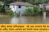 একটানা বৃষ্টিতে জলমগ্ন আলিপুরদুয়ার - মই বেয়ে দোতলায় উঠে জনসংযোগ তৃণমূল প্রার্থীর, দিলেন এলাকার জল নিকাশি সমস্যা সমাধানের আশ্বাস