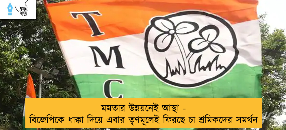 মমতার উন্নয়নেই আস্থা - বিজেপিকে ধাক্কা দিয়ে এবার তৃণমূলেই ফিরছে চা শ্রমিকদের সমর্থন