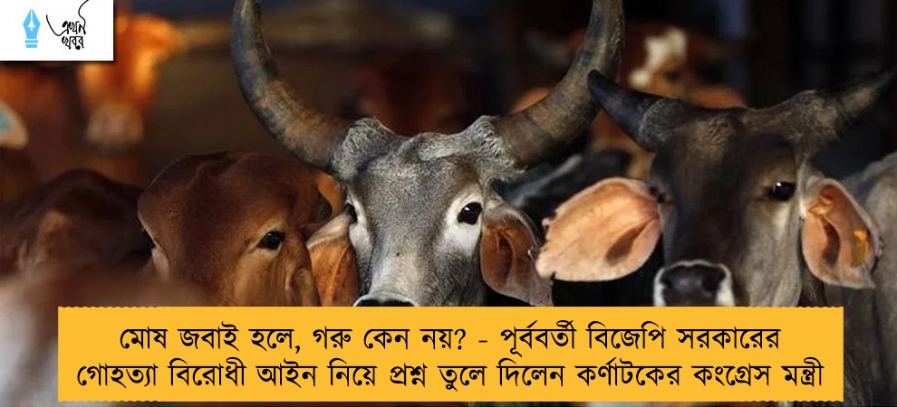 মোষ জবাই হলে, গরু কেন নয়? - পূর্ববর্তী বিজেপি সরকারের গোহত্যা বিরোধী আইন নিয়ে প্রশ্ন তুলে দিলেন কর্ণাটকের কংগ্রেস মন্ত্রী