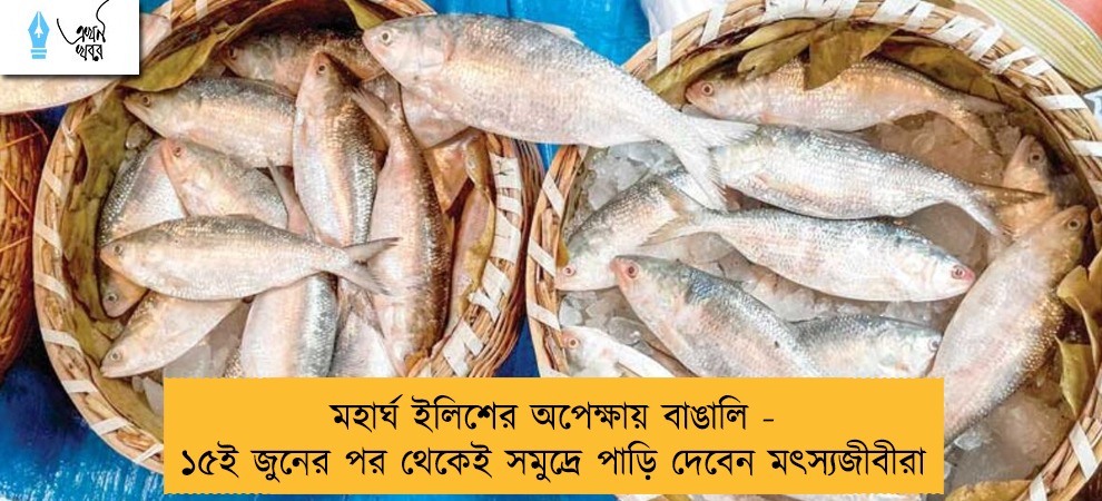 মহার্ঘ ইলিশের অপেক্ষায় বাঙালি - ১৫ই জুনের পর থেকেই সমুদ্রে পাড়ি দেবেন মৎস্যজীবীরা