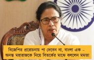 বিজেপির প্ররোচনায় পা দেবেন না, বাংলা এক – অনন্ত মহারাজকে নিয়ে বিতর্কের মাঝে বললেন মমতা