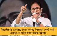 বিরোধীদের একজোট দেখে ঘাবড়ে গিয়েছেন মোদী-শাহ – এনডিএ-র বৈঠক নিয়ে কটাক্ষ মমতার