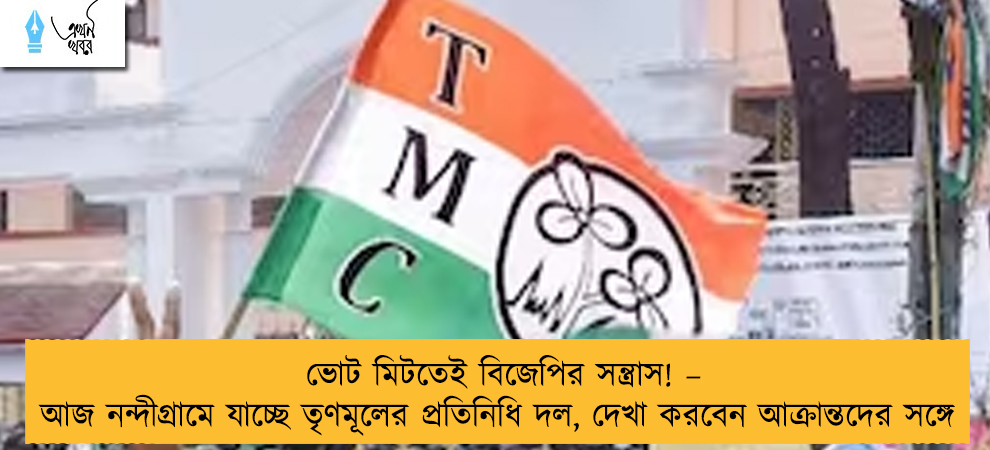 ভোট মিটতেই বিজেপির সন্ত্রাস! – আজ নন্দীগ্রামে যাচ্ছে তৃণমূলের প্রতিনিধি দল, দেখা করবেন আক্রান্তদের সঙ্গে