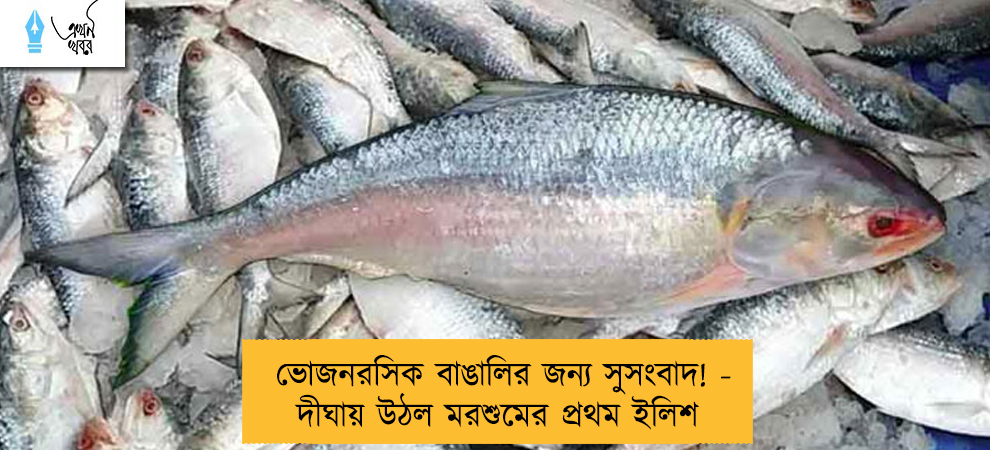 ভোজনরসিক বাঙালির জন্য সুসংবাদ! - দীঘায় উঠল মরশুমের প্রথম ইলিশ