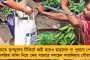 এবার মিলবে খাসমহলের মালিকানাও - বাসিন্দাদের হাতে কলকাতার লিজ জমি তুলে দিচ্ছে মমতা সরকার